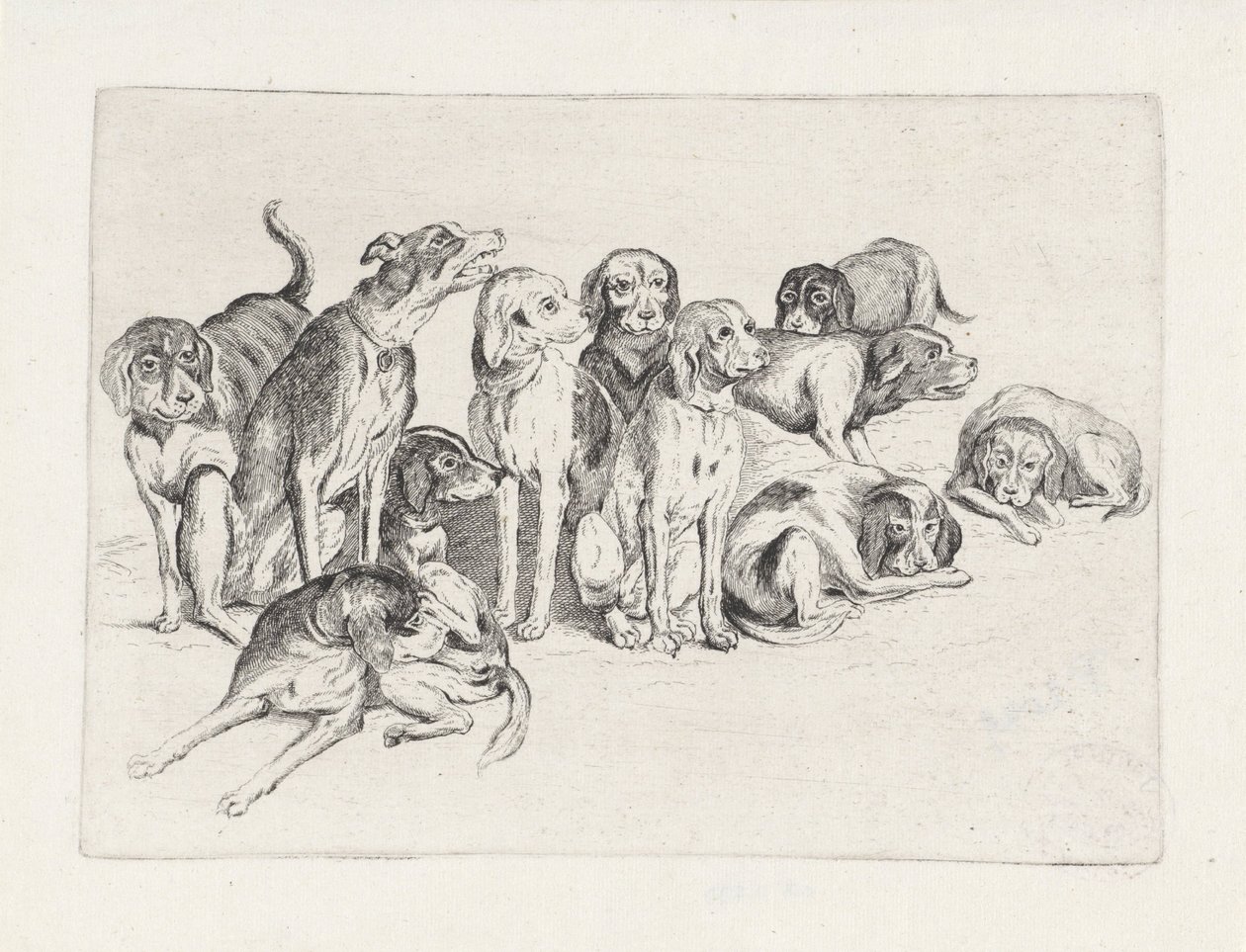 Once perros de caza de Wenceslaus Hollar