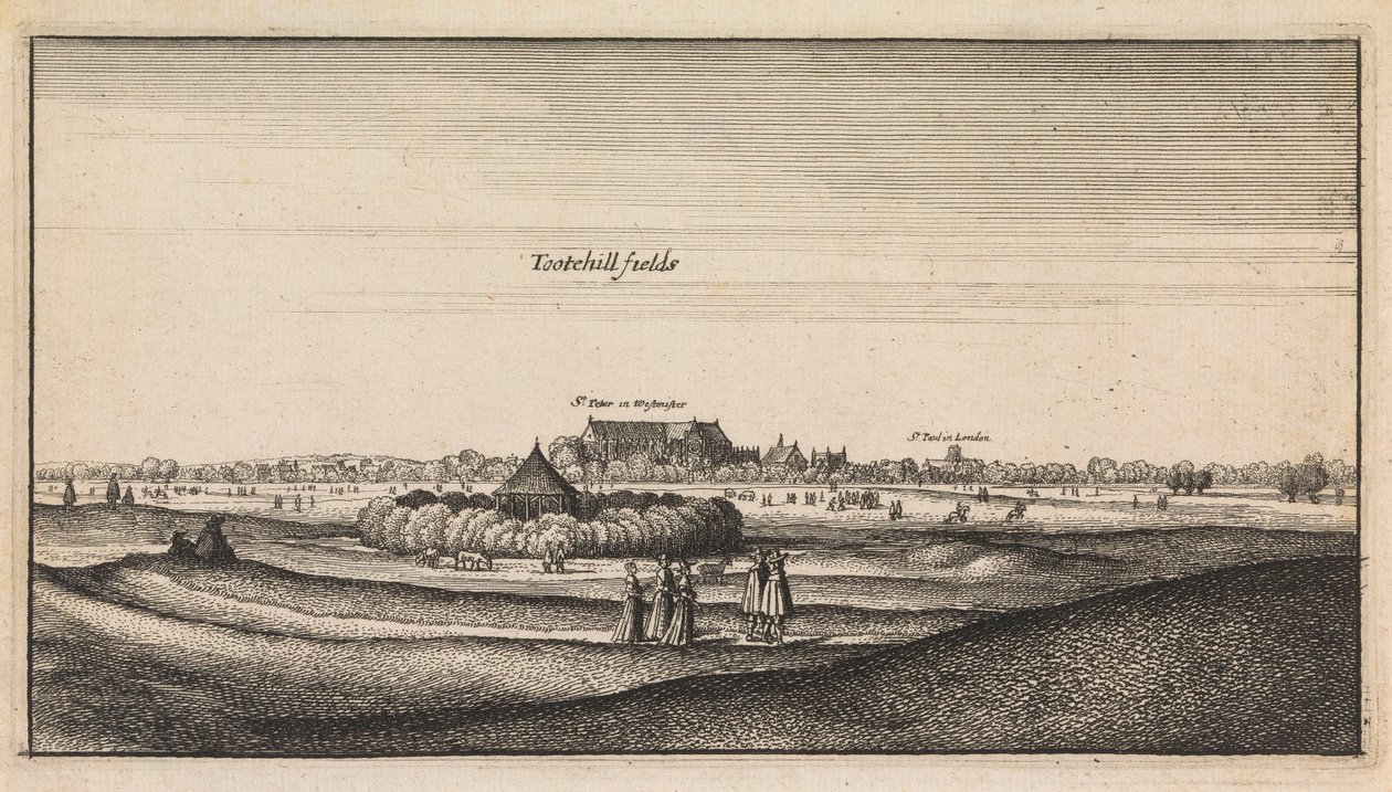 Vistas inglesas: Tootehill Fields de Wenceslaus Hollar