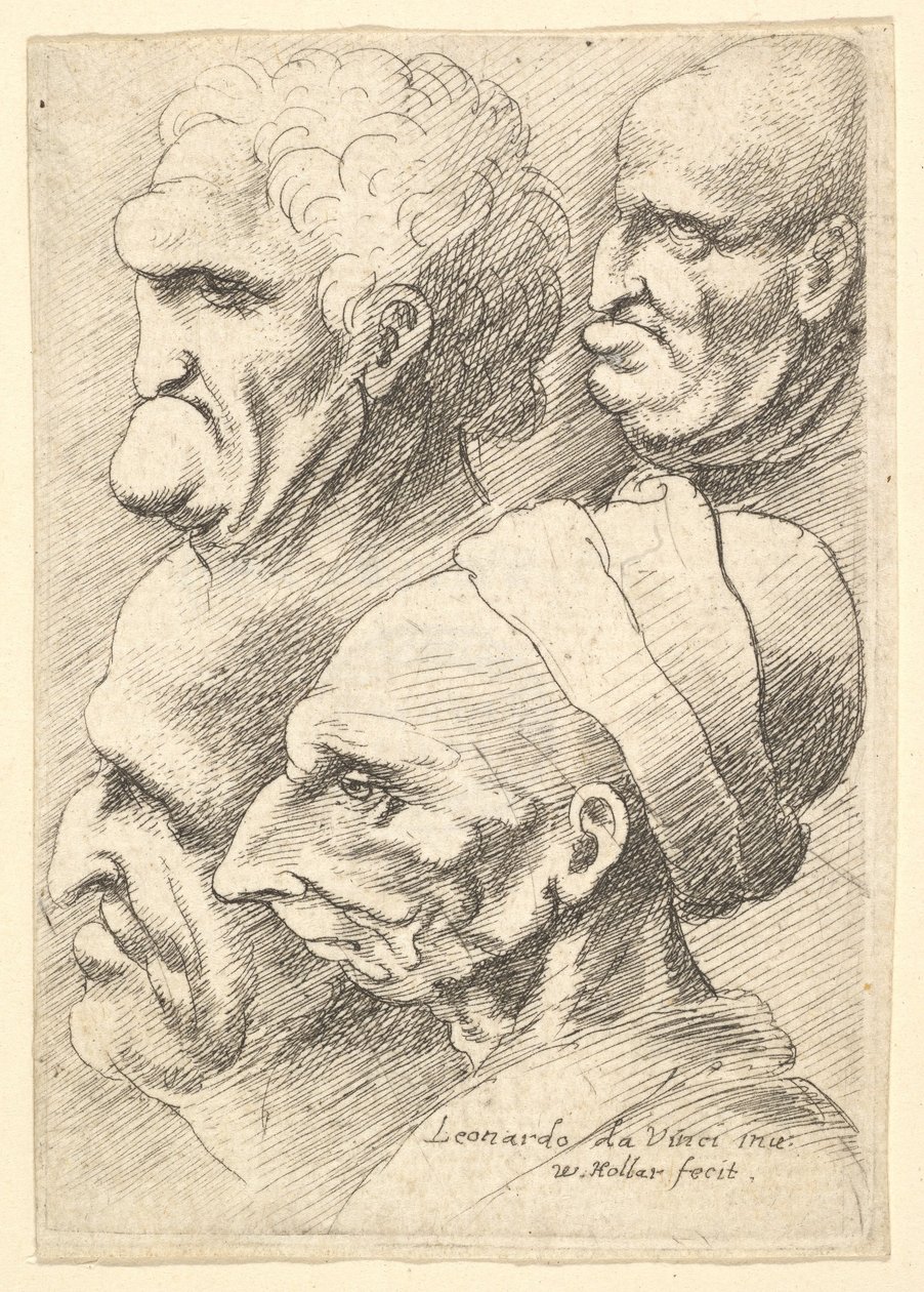 Cuatro cabezas grotescas de perfil a la izquierda de Wenceslaus Hollar