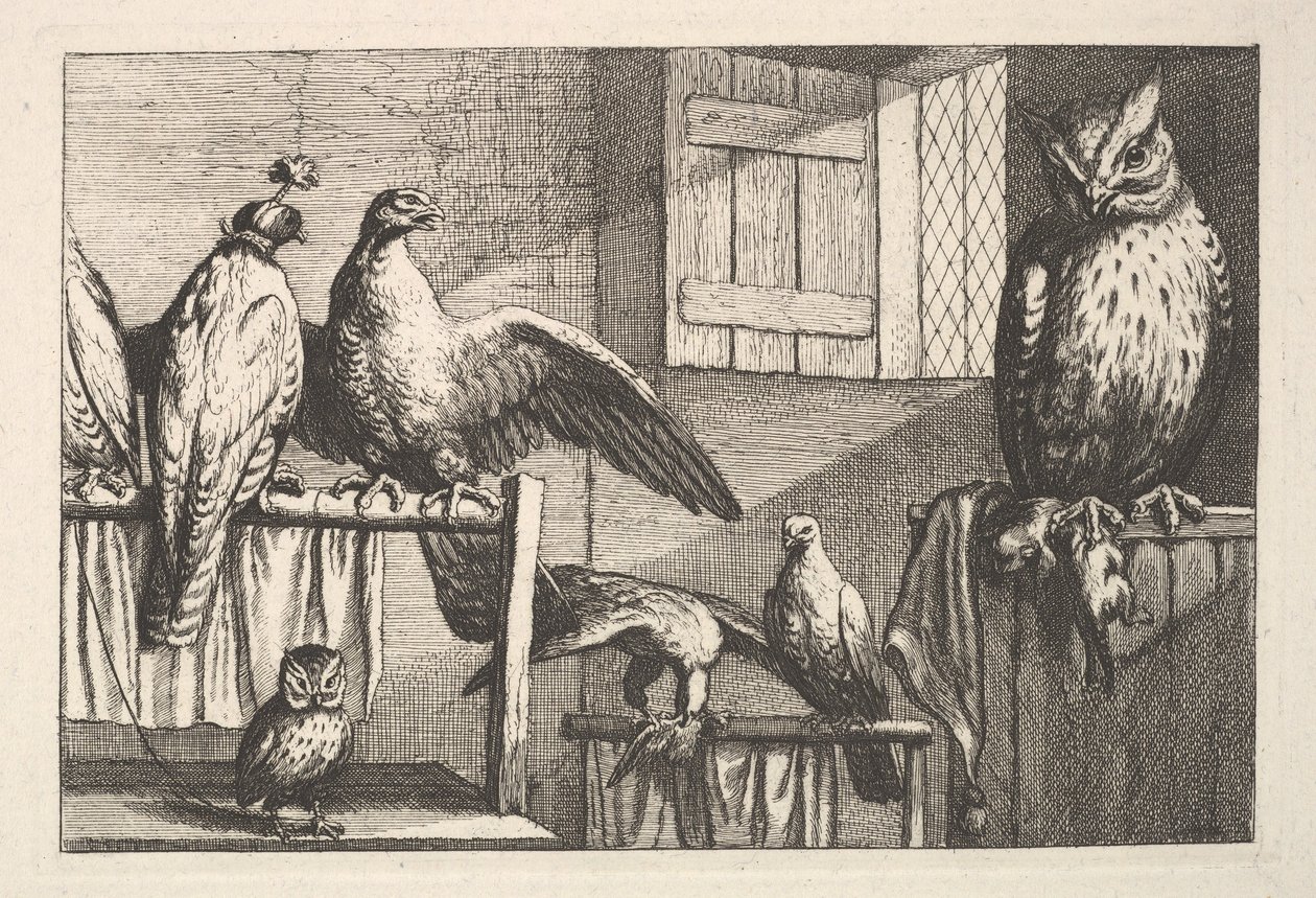 Halcones y búhos, 1625-77 de Wenceslaus Hollar