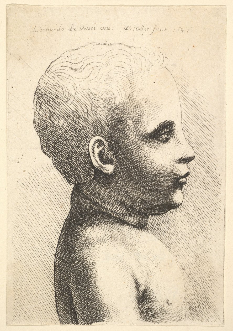 Cabeza y hombros de un niño, de perfil a la derecha, 1645 de Wenceslaus Hollar