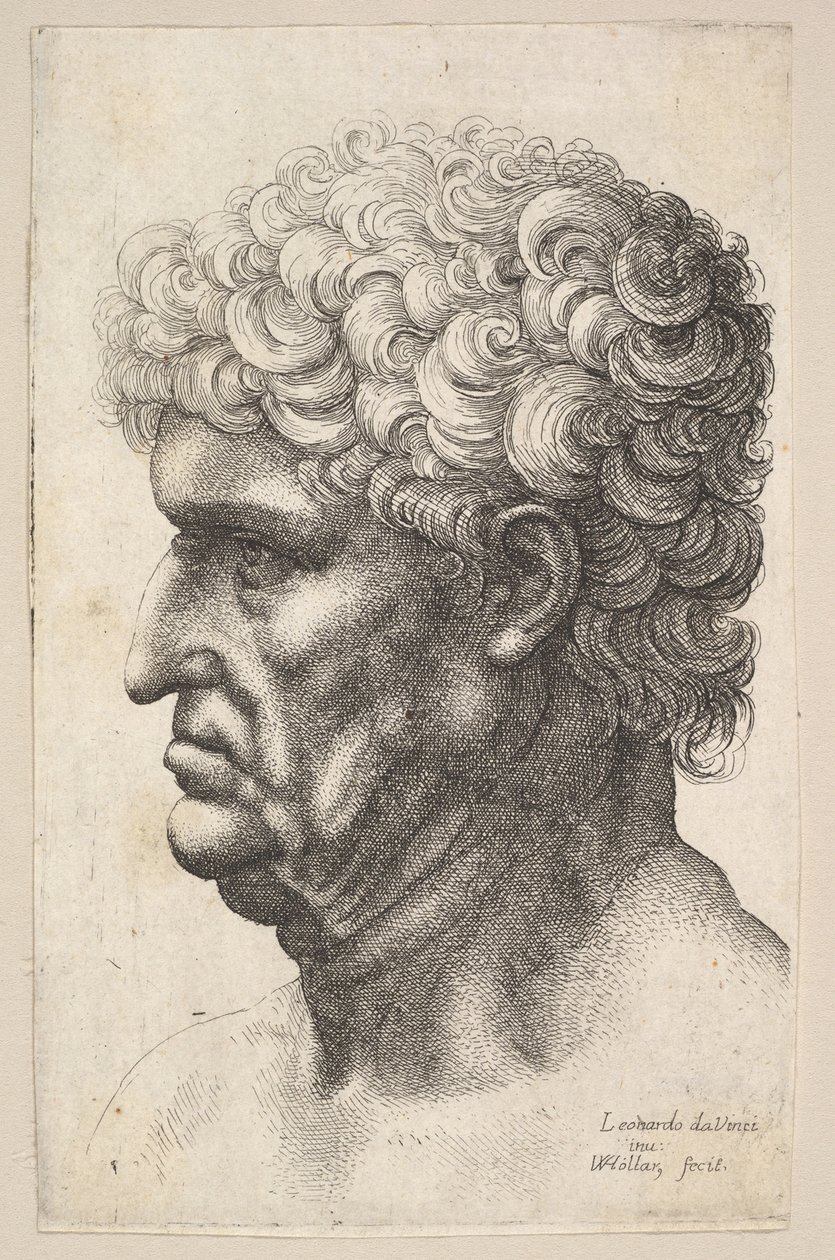 Cabeza de un hombre con cabello rizado grueso en perfil hacia la izquierda, 1640-49 de Wenceslaus Hollar