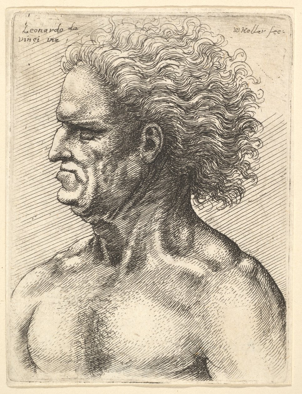 Cabeza de un hombre viejo musculoso en perfil hacia la izquierda con cabello suelto, 1625-77 de Wenceslaus Hollar