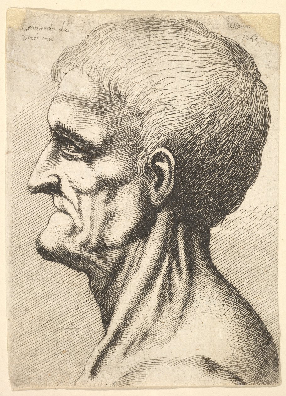 Cabeza de un hombre desdentado con cuello desnudo y nervudo en perfil hacia la izquierda de Wenceslaus Hollar