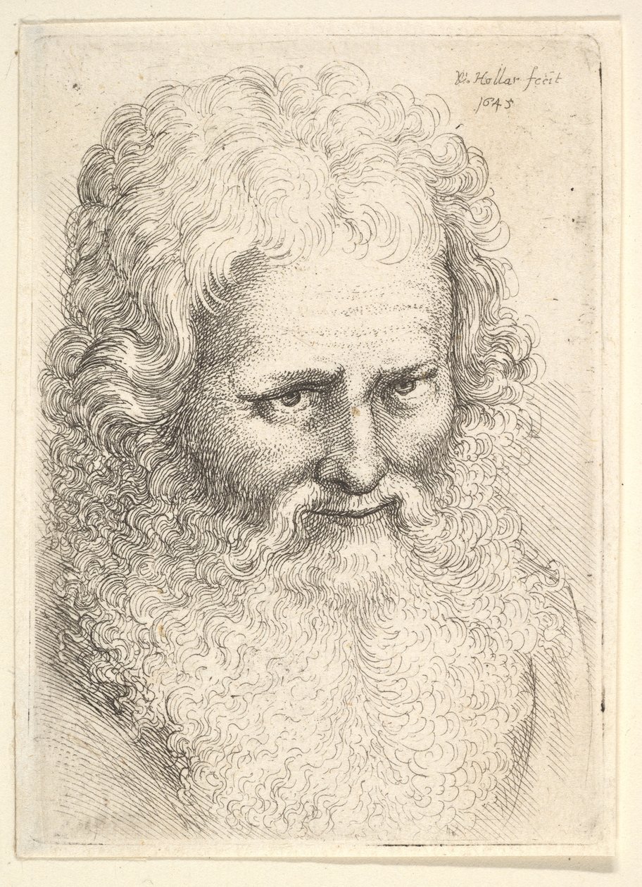 Cabeza de un anciano con una gran barba, 1645 de Wenceslaus Hollar