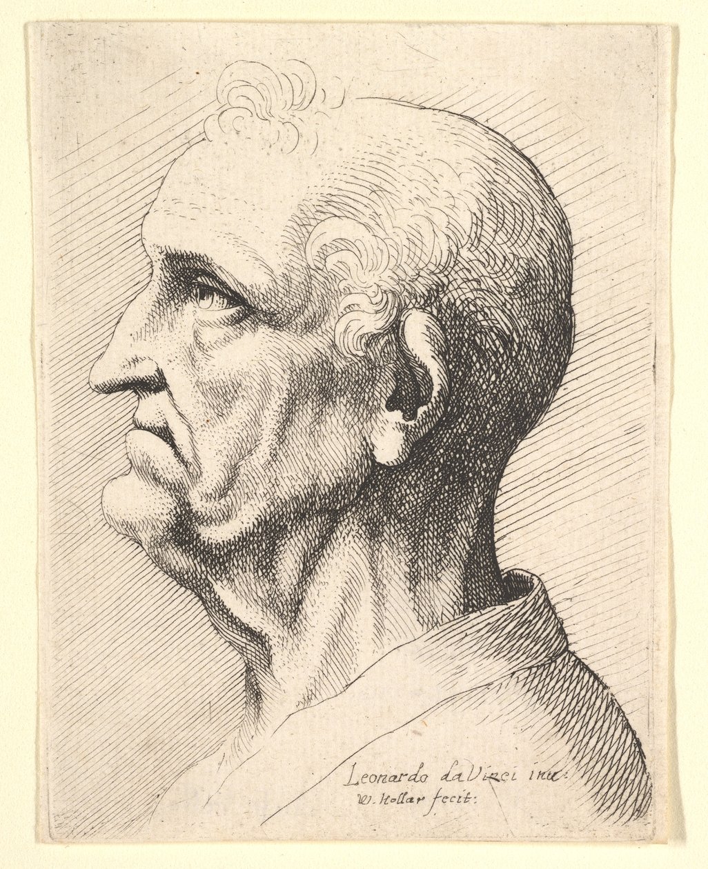 Cabeza de un anciano con mechones de cabello rizado alrededor de la oreja en perfil hacia la izquierda, 1644-52 de Wenceslaus Hollar