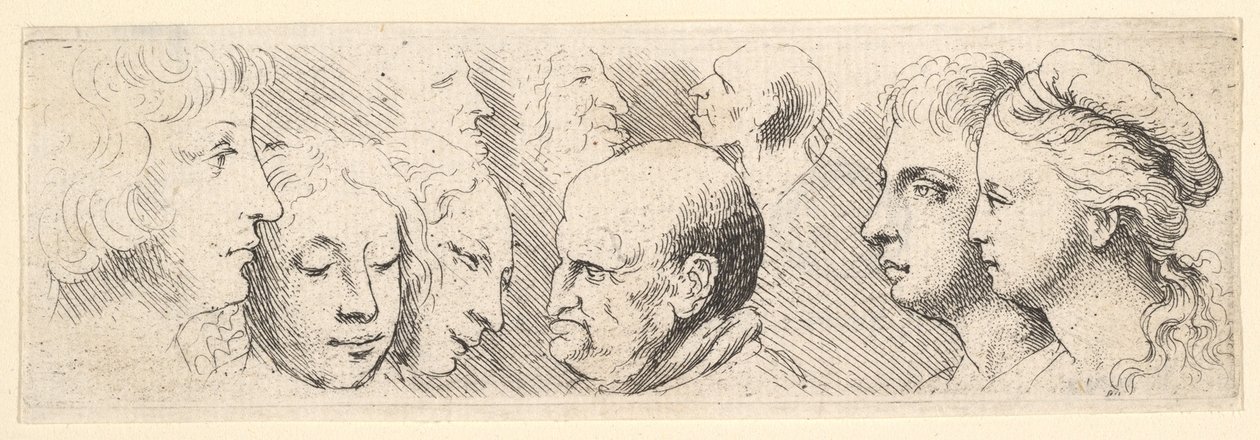 Estudios de cabezas de Wenceslaus Hollar