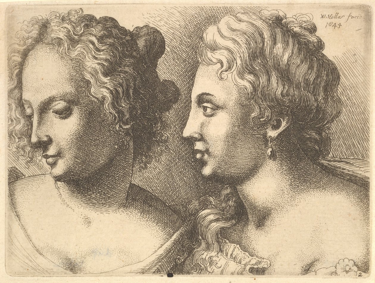 Cabezas de dos mujeres jóvenes, 1645 de Wenceslaus Hollar