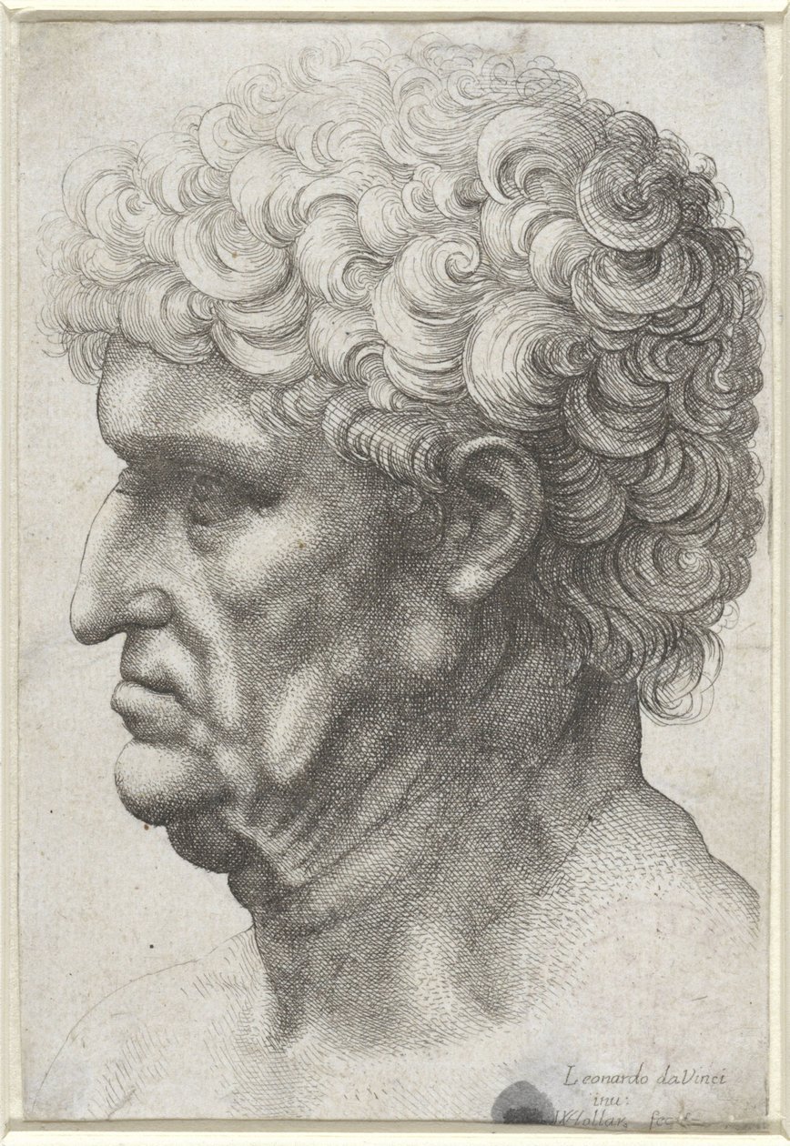 Cabeza de hombre con pelo rizado, en perfil de Wenceslaus Hollar