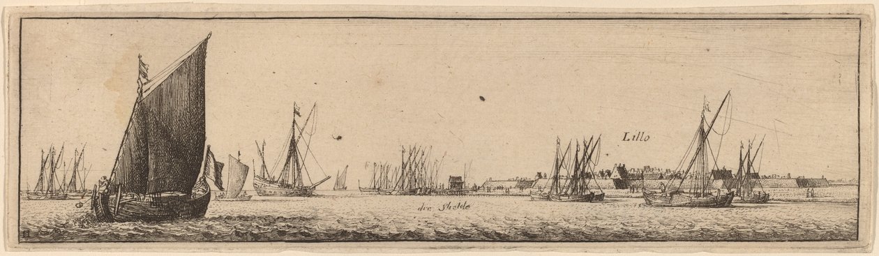 Lillo de Wenceslaus Hollar