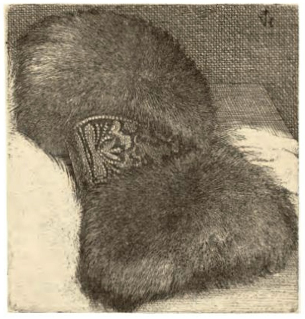 Manga con banda de brocado de Wenceslaus Hollar