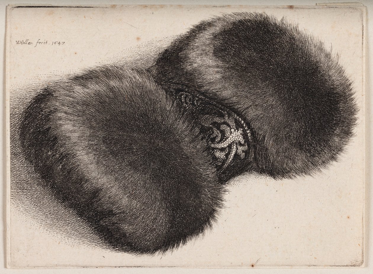 Manguito de piel con una cinta recubierta de brocado de Wenceslaus Hollar