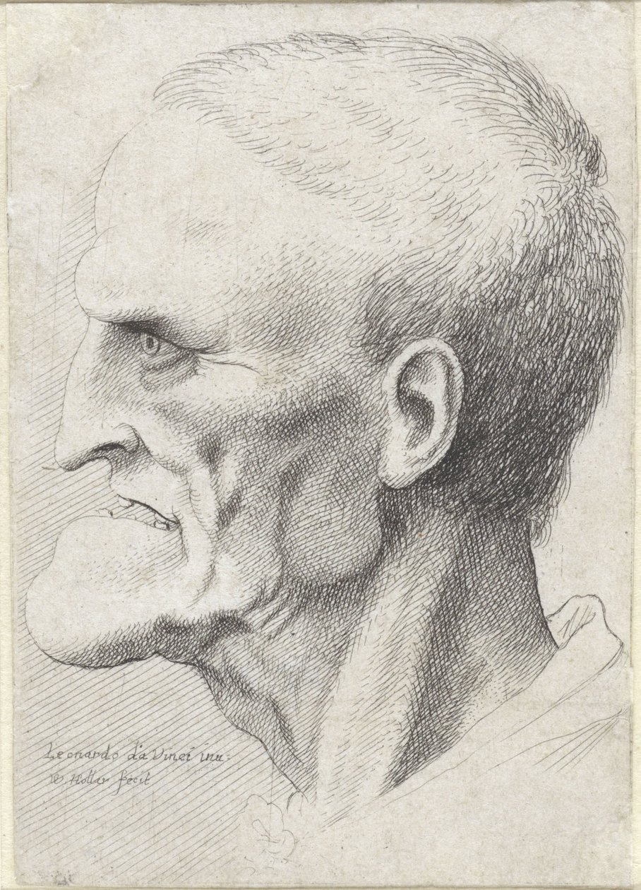 Retrato de un anciano con mentón pronunciado de Wenceslaus Hollar