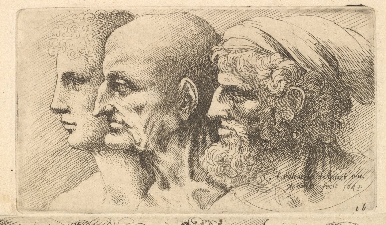 Fila de tres cabezas de perfil hacia la izquierda de Wenceslaus Hollar