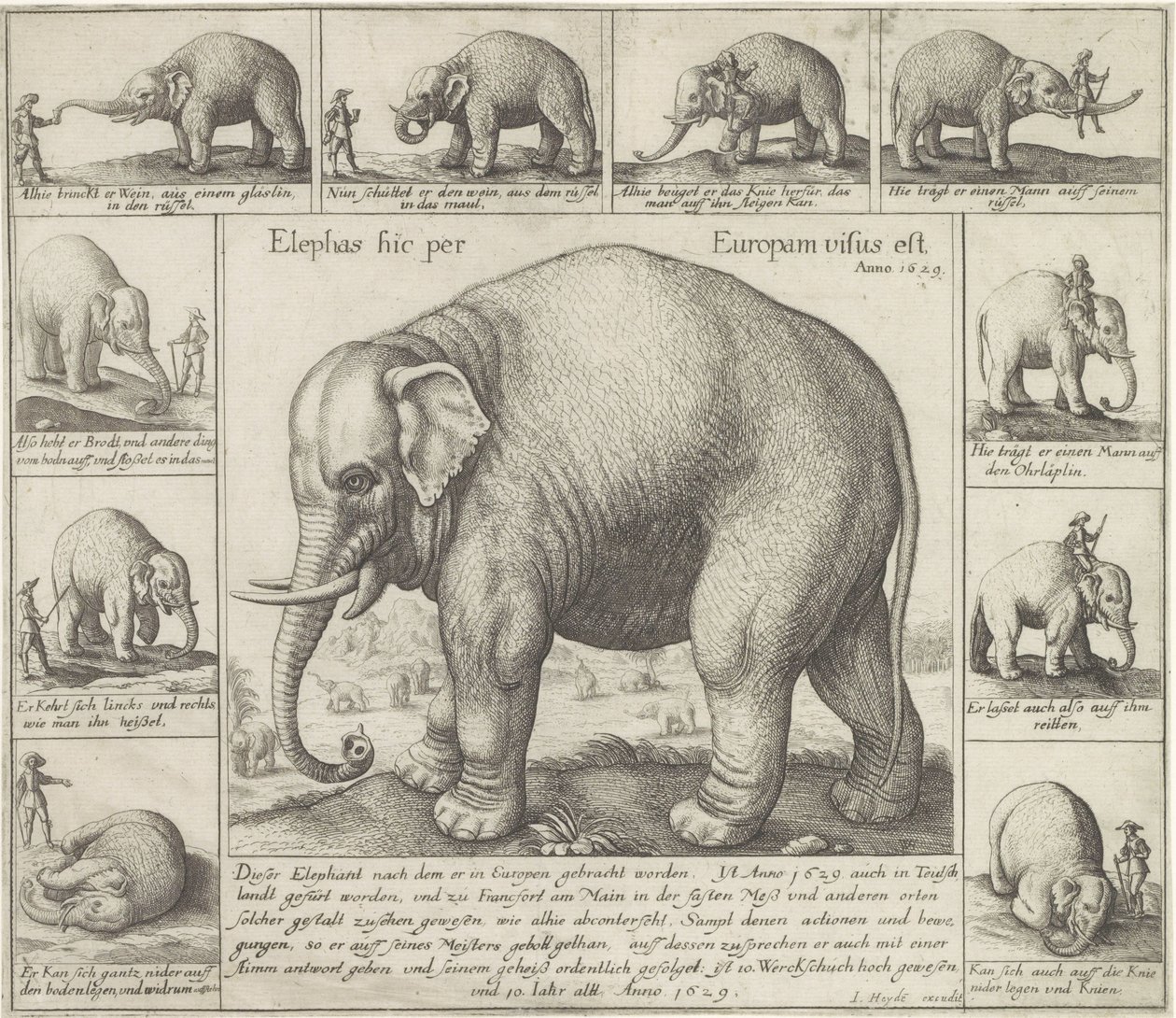 también huelen Se vio un elefante aquí en Europa (título sobre el objeto) de Wenceslaus Hollar
