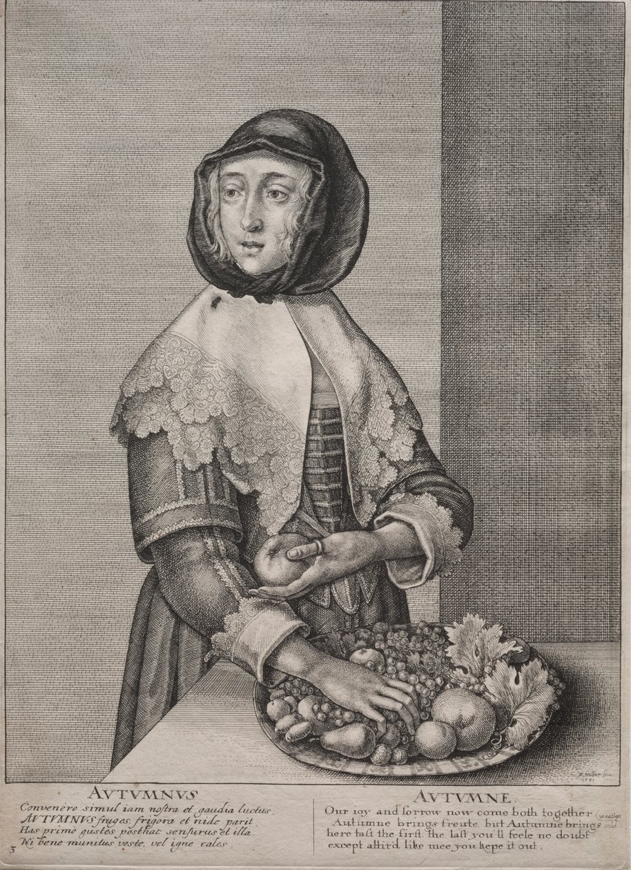 The Four Seasons:  Autumn de Wenceslaus Hollar