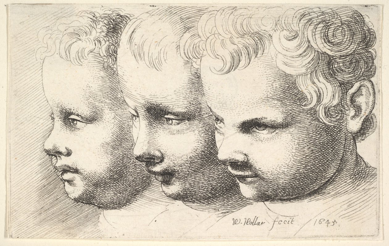 Las cabezas de tres niños de Wenceslaus Hollar