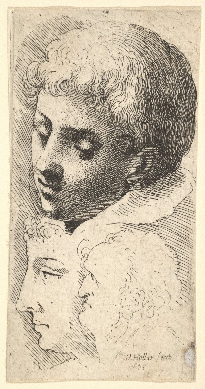 Tres cabezas de Wenceslaus Hollar