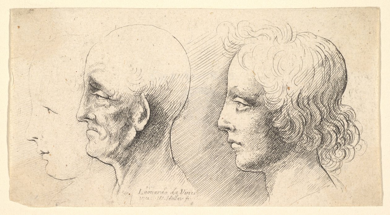 Tres Cabezas de Perfil, una solo en Contorno de Wenceslaus Hollar