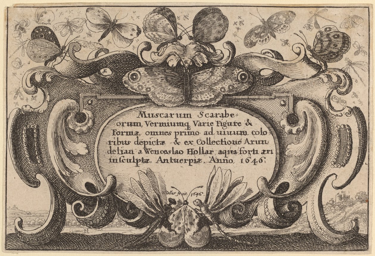 Página de Título de Wenceslaus Hollar