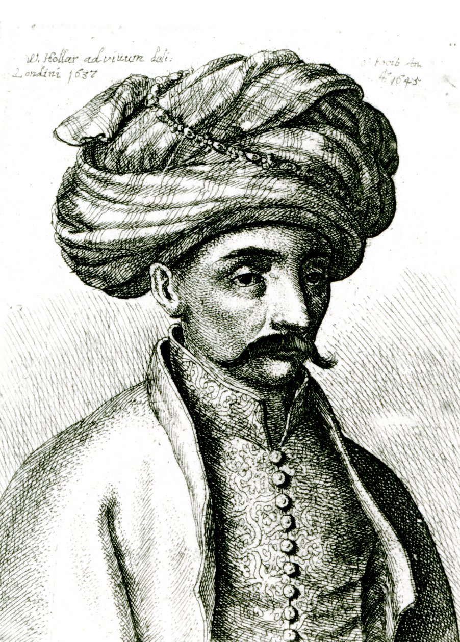 Cabeza de turco, 1645 de Wenceslaus Hollar
