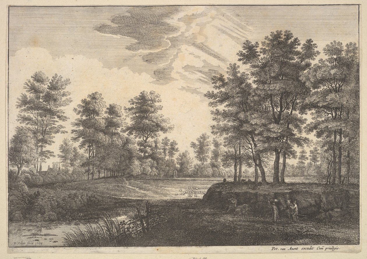 Paisaje boscoso de Wenceslaus Hollar