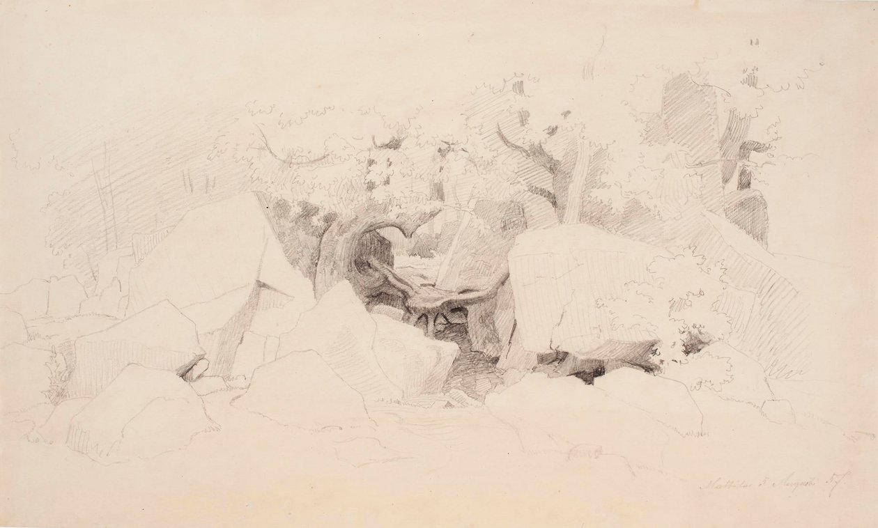 Trozos de piedra en el bosque de Werner Holmberg