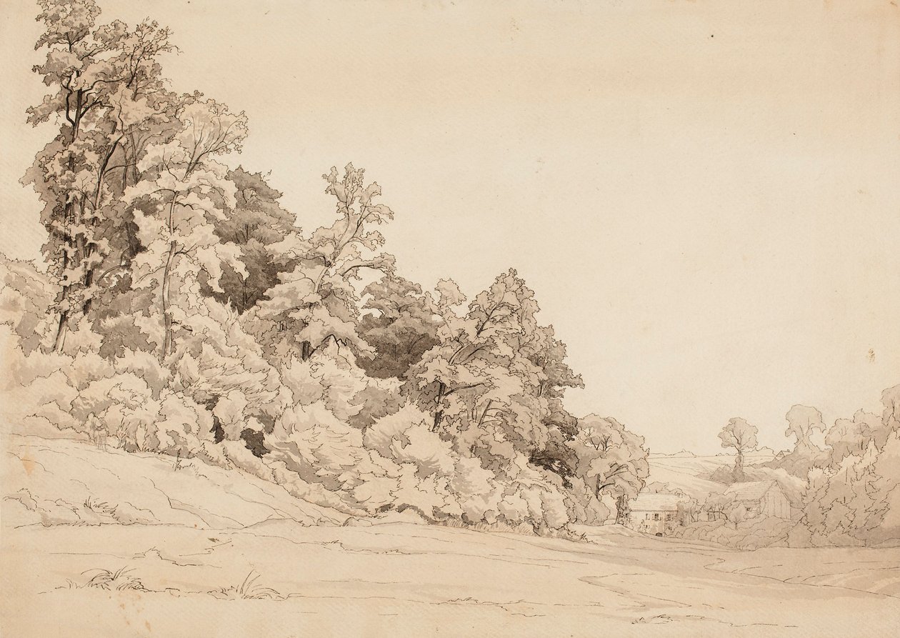 Paisaje, ladera de Werner Holmberg