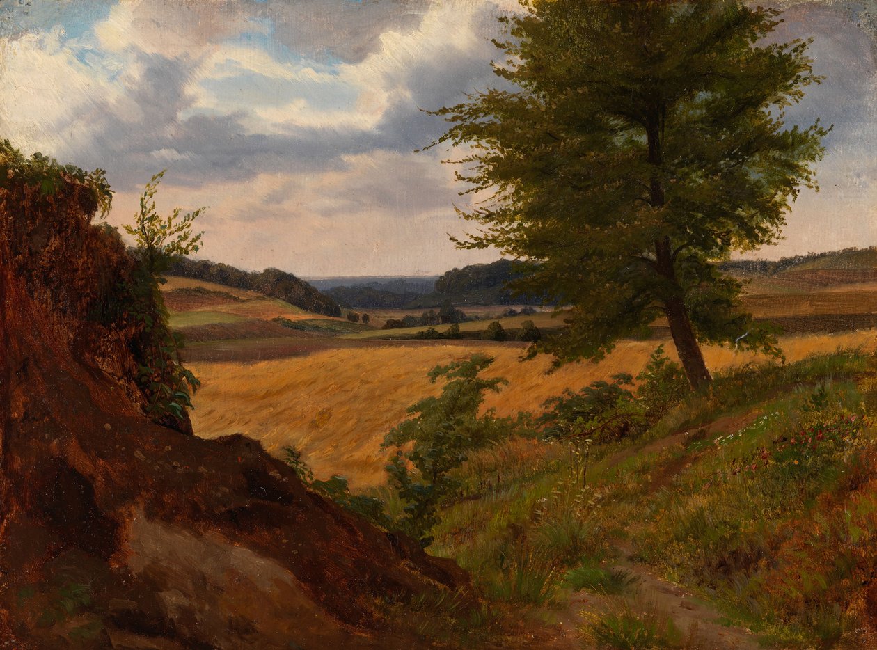 Árbol en paisaje de campos, estudio de Werner Holmberg