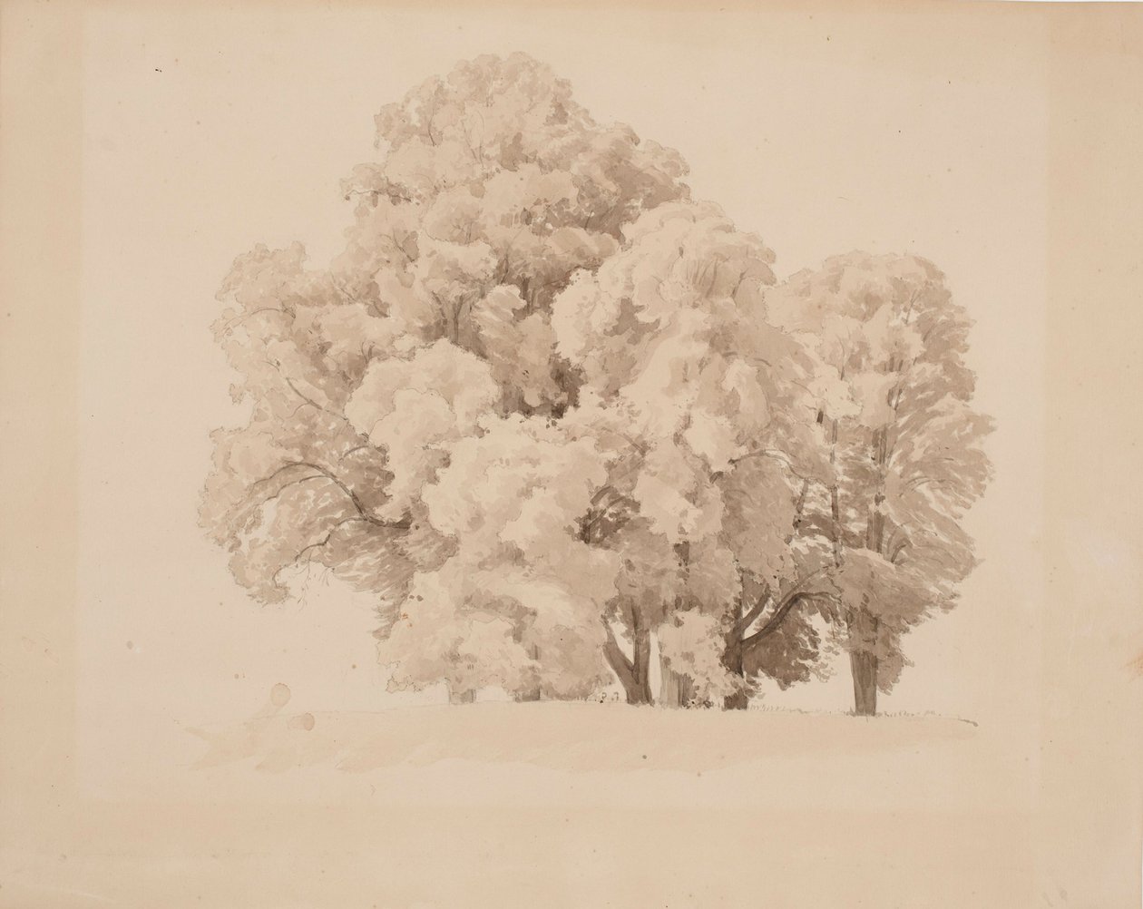 Grupo de árboles frondosos de Werner Holmberg