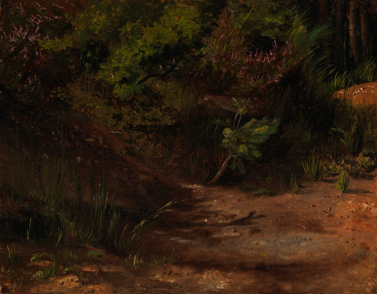 Sin título de Werner Holmberg