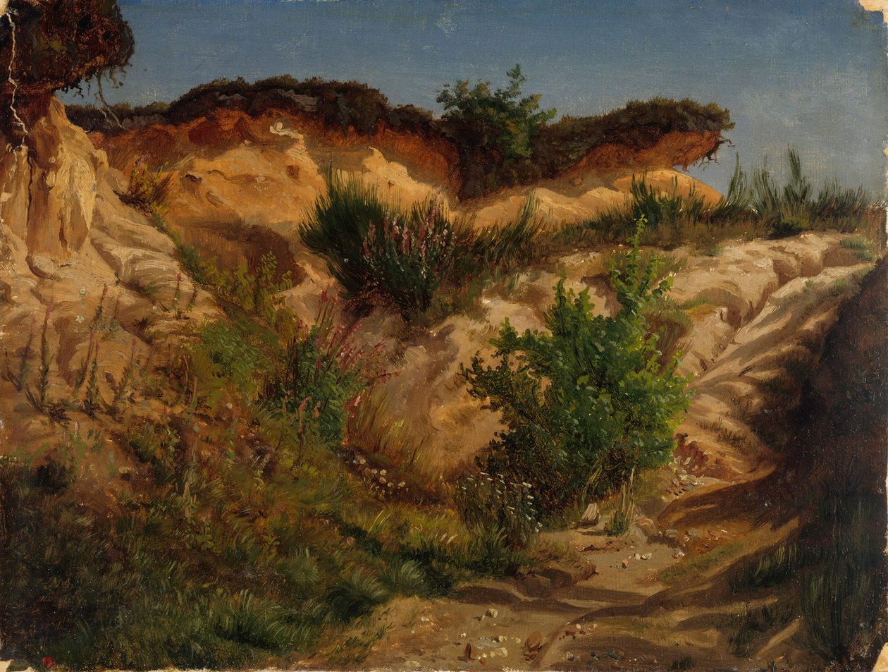 Sin título de Werner Holmberg
