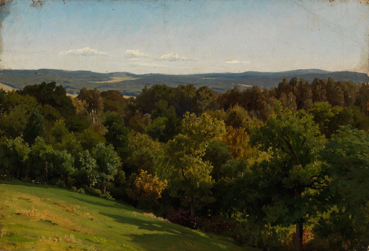 Sin título de Werner Holmberg