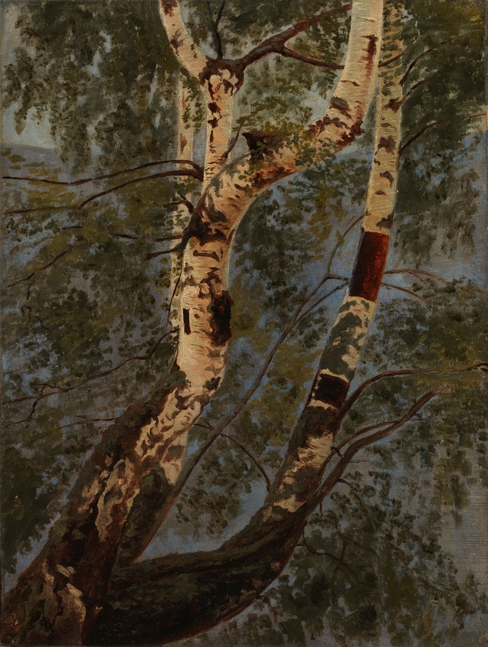 Sin título de Werner Holmberg