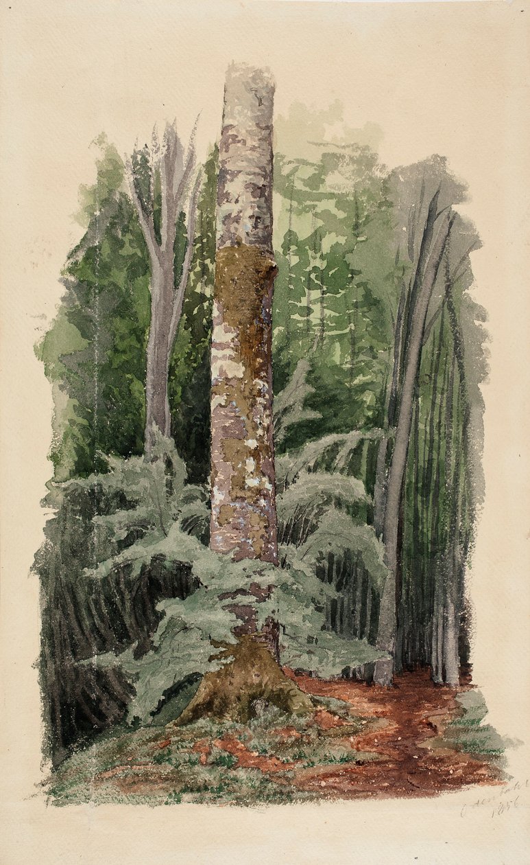 Sin título de Werner Holmberg
