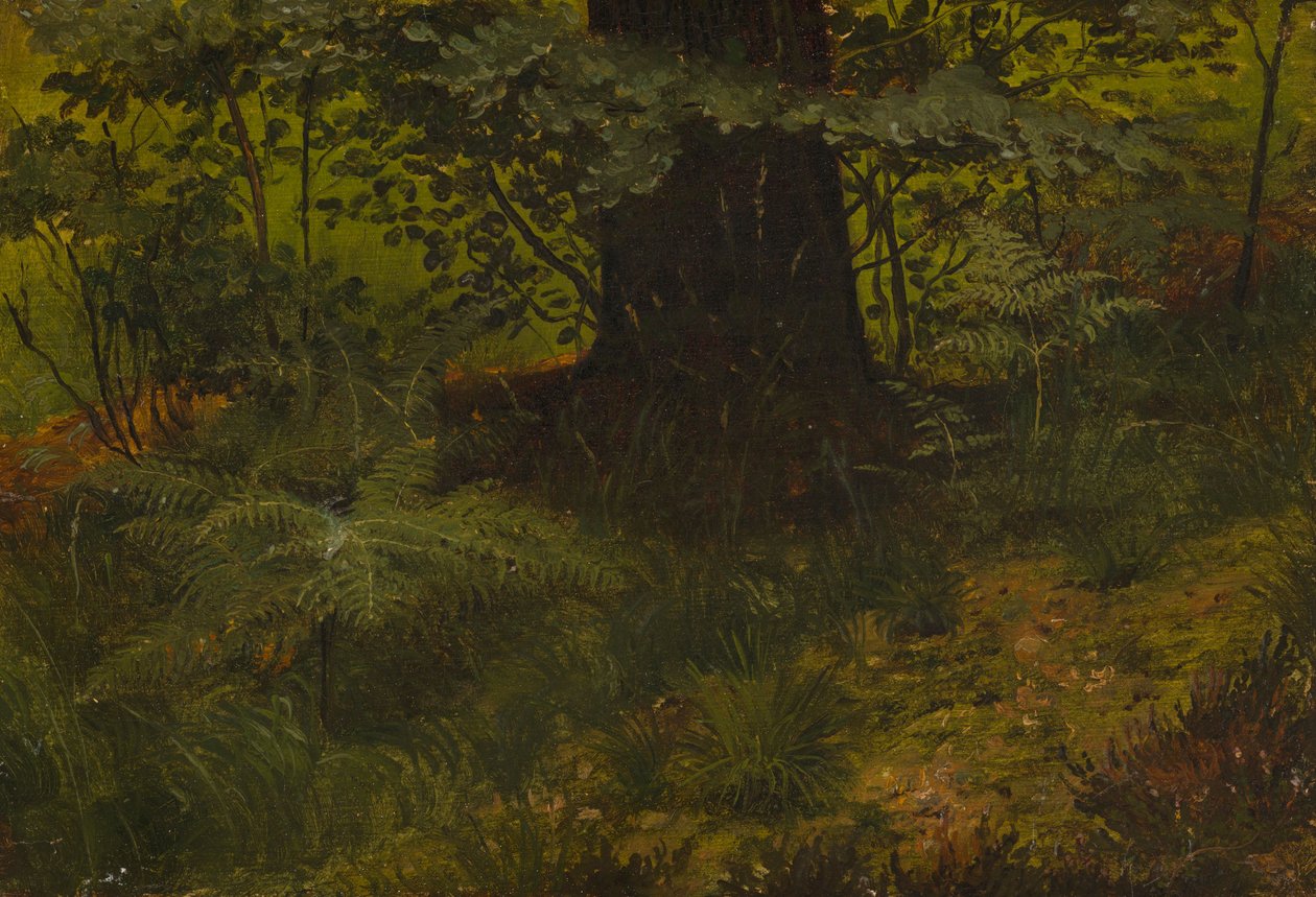 Sin título de Werner Holmberg