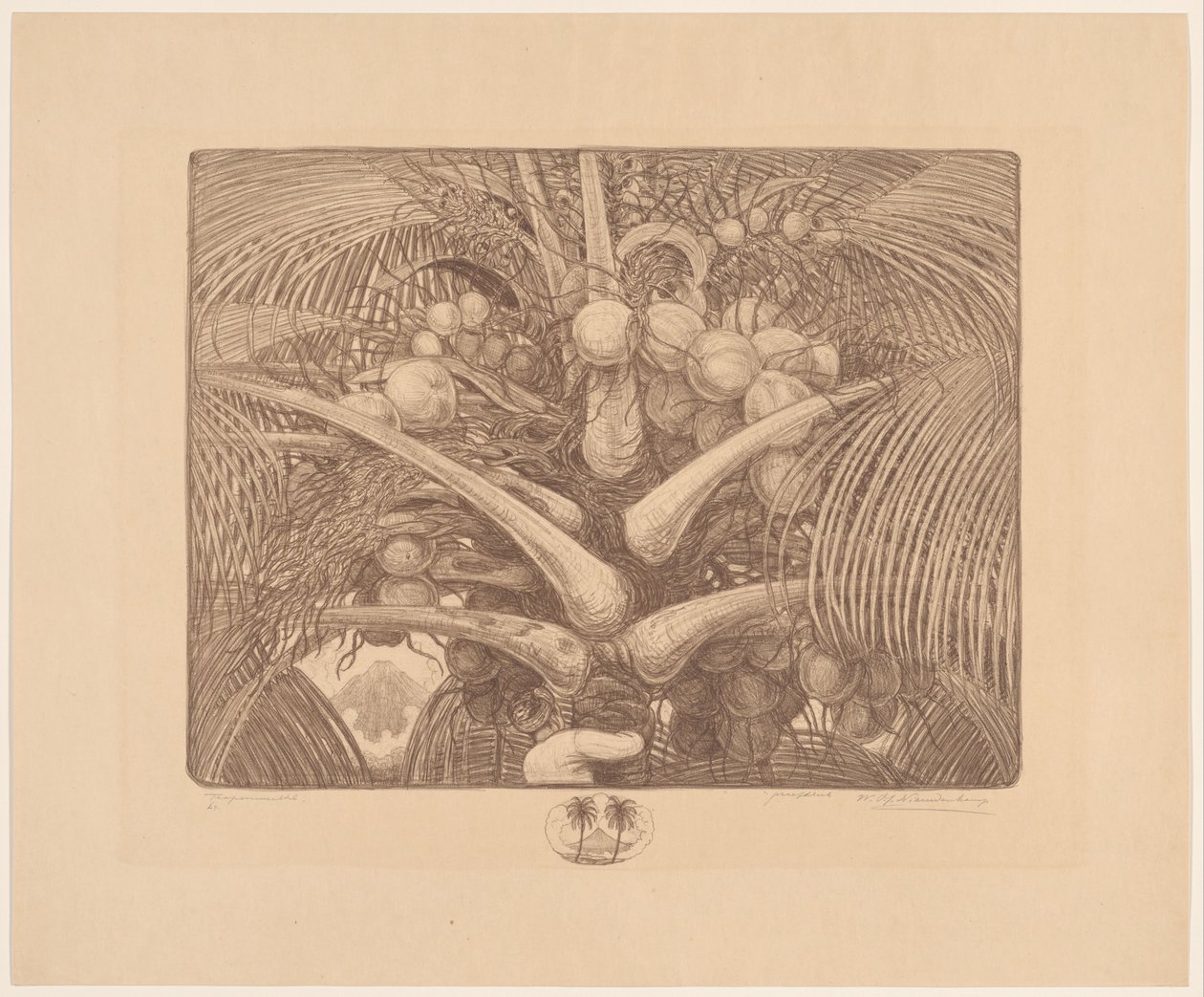 Parte superior de un cocotero
Mundo tropical (título original del objeto) de Wijnand Otto Jan Nieuwenkamp (signed by artist)