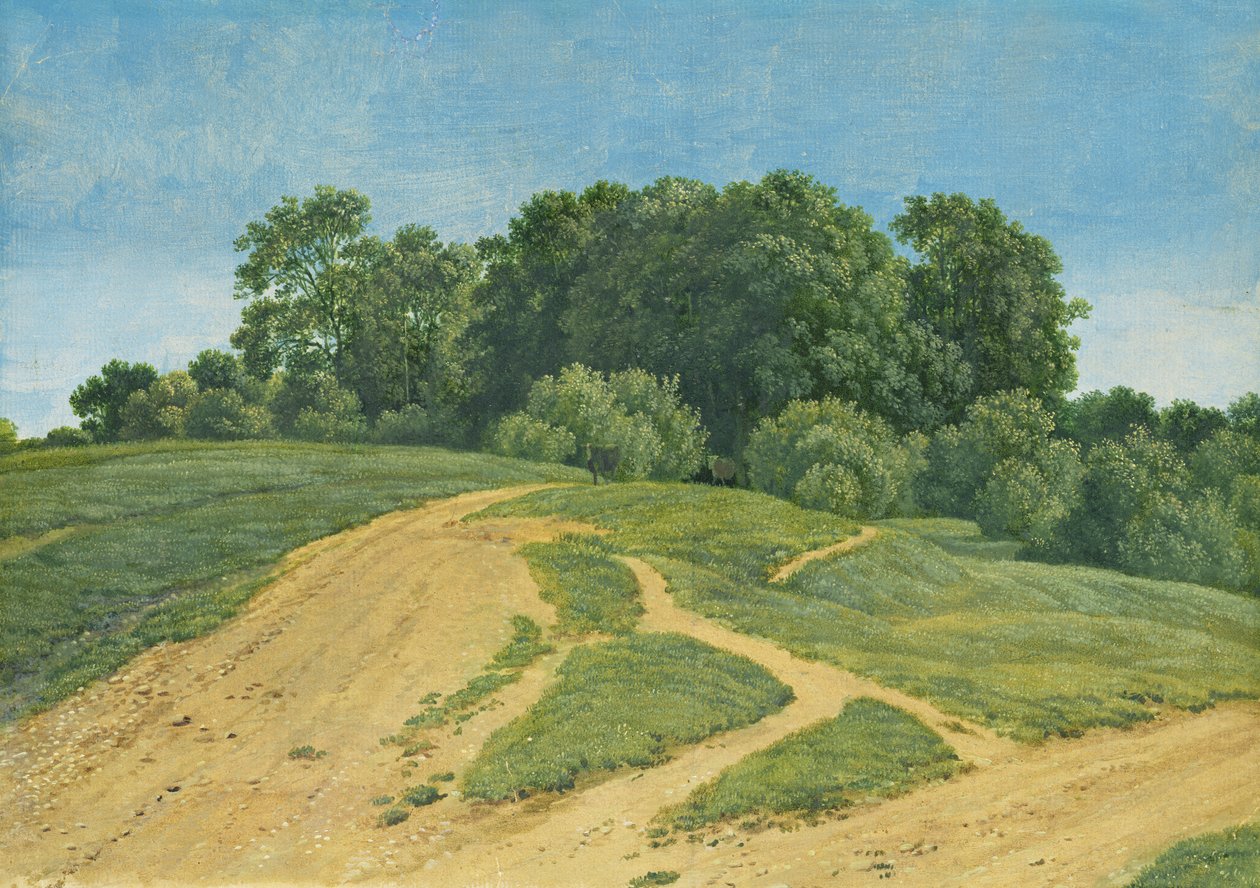 Un camino a través de los campos, c.1821 de Wilhelm Alexander Kobell