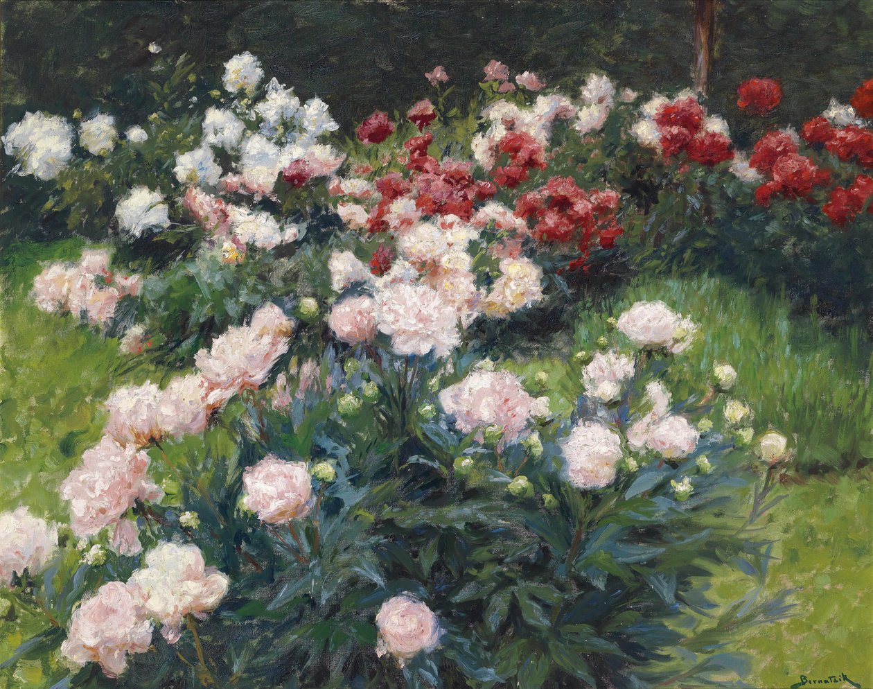 Peonías de Wilhelm Bernatzik