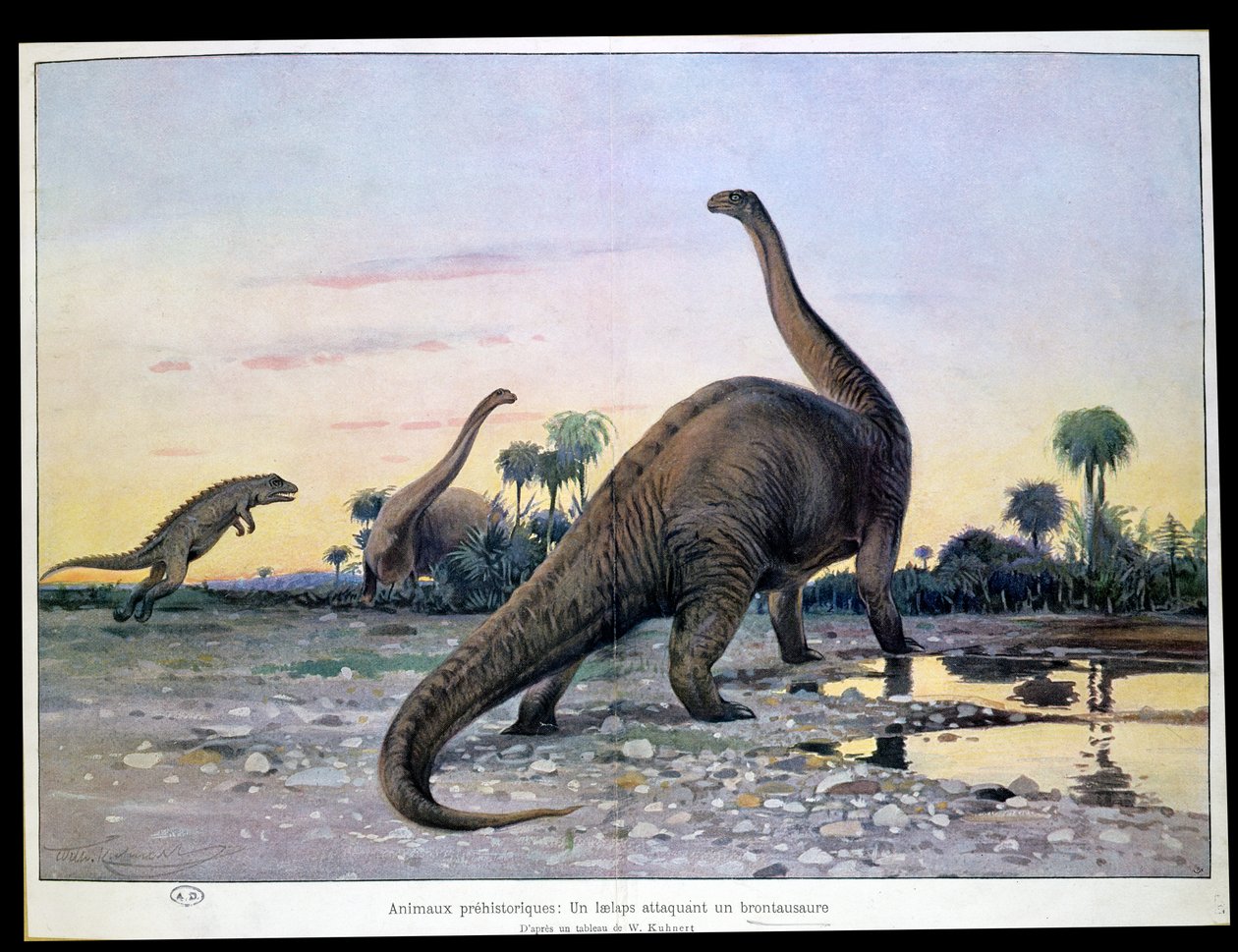 Animales prehistóricos: un Laelaps atacando a un Brontosaurio de Wilhelm Kuhnert