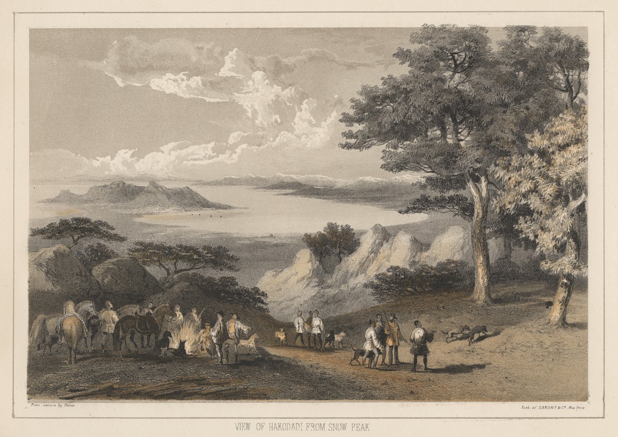 Vista de Hakodadi desde Snow Peak, 1855 de Wilhelm Joseph Heine