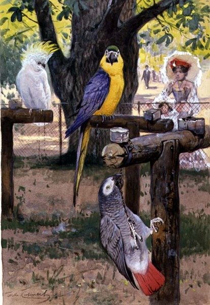 En el zoológico de Wilhelm Kuhnert