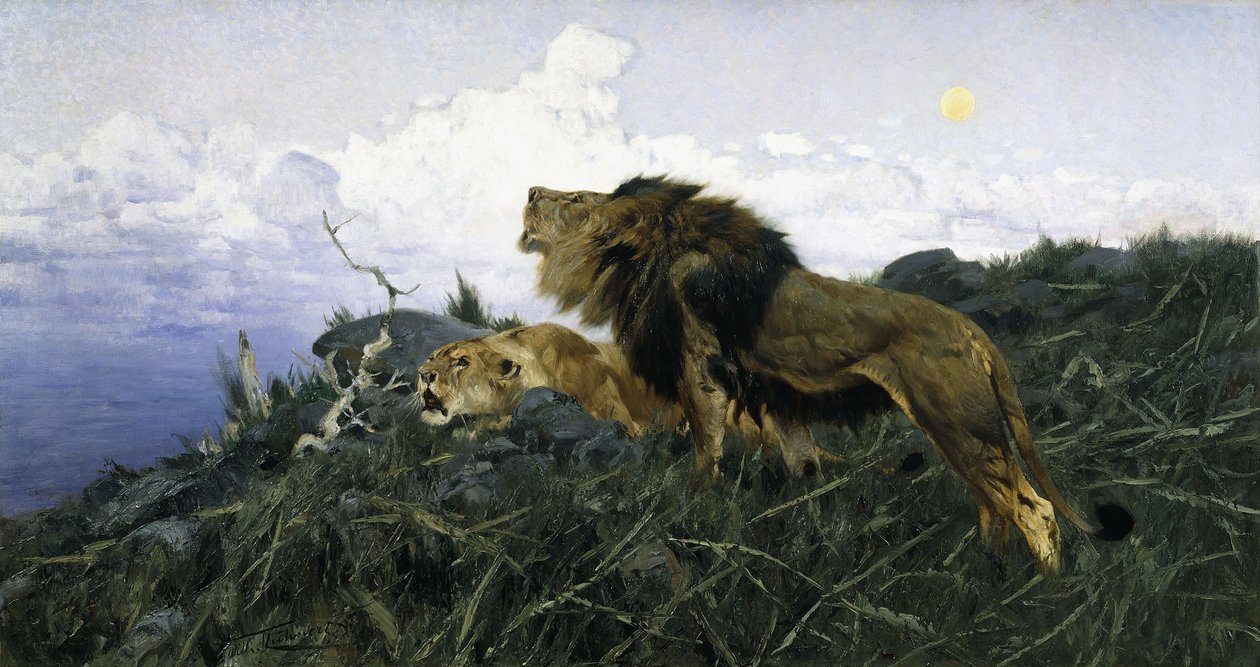 Leones al anochecer de Wilhelm Kuhnert