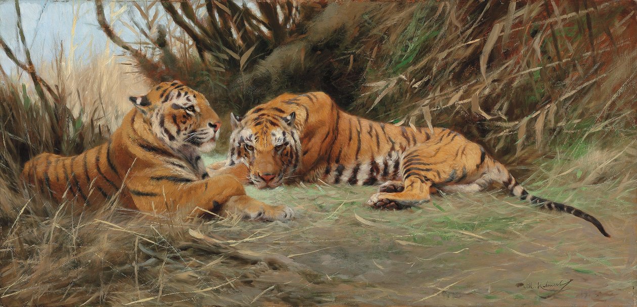 Tigres al amanecer, 1913 de Wilhelm Kuhnert