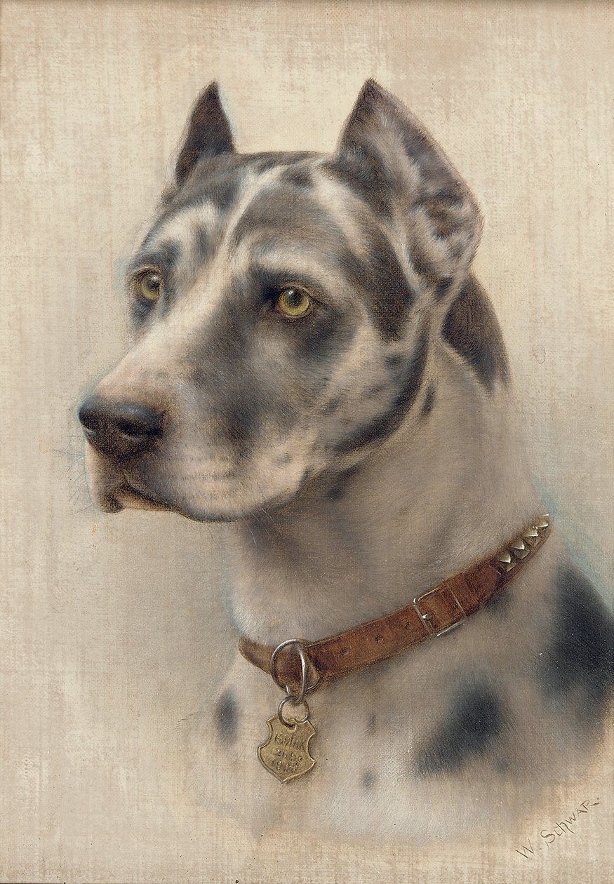 La cabeza de un Doberman de Wilhelm Schwar