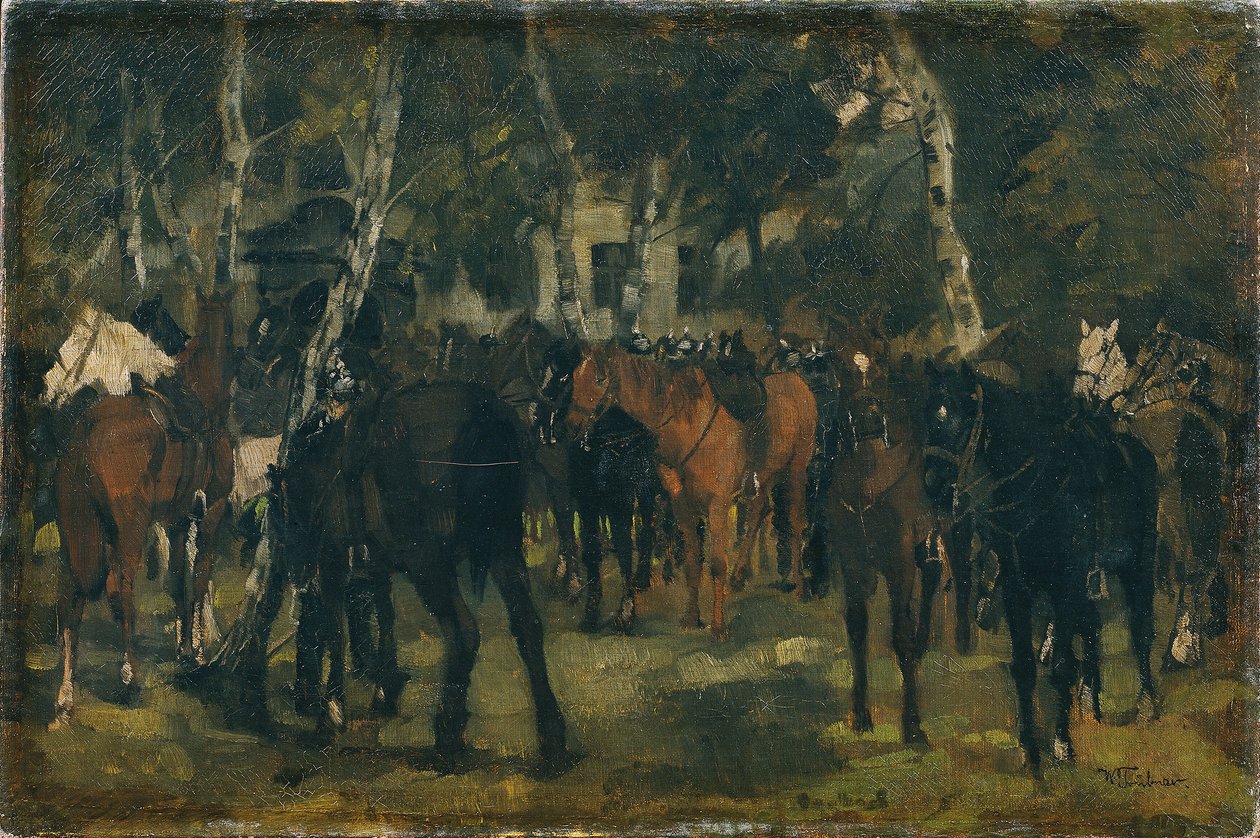 Coraceros desmontados de Wilhelm Trübner