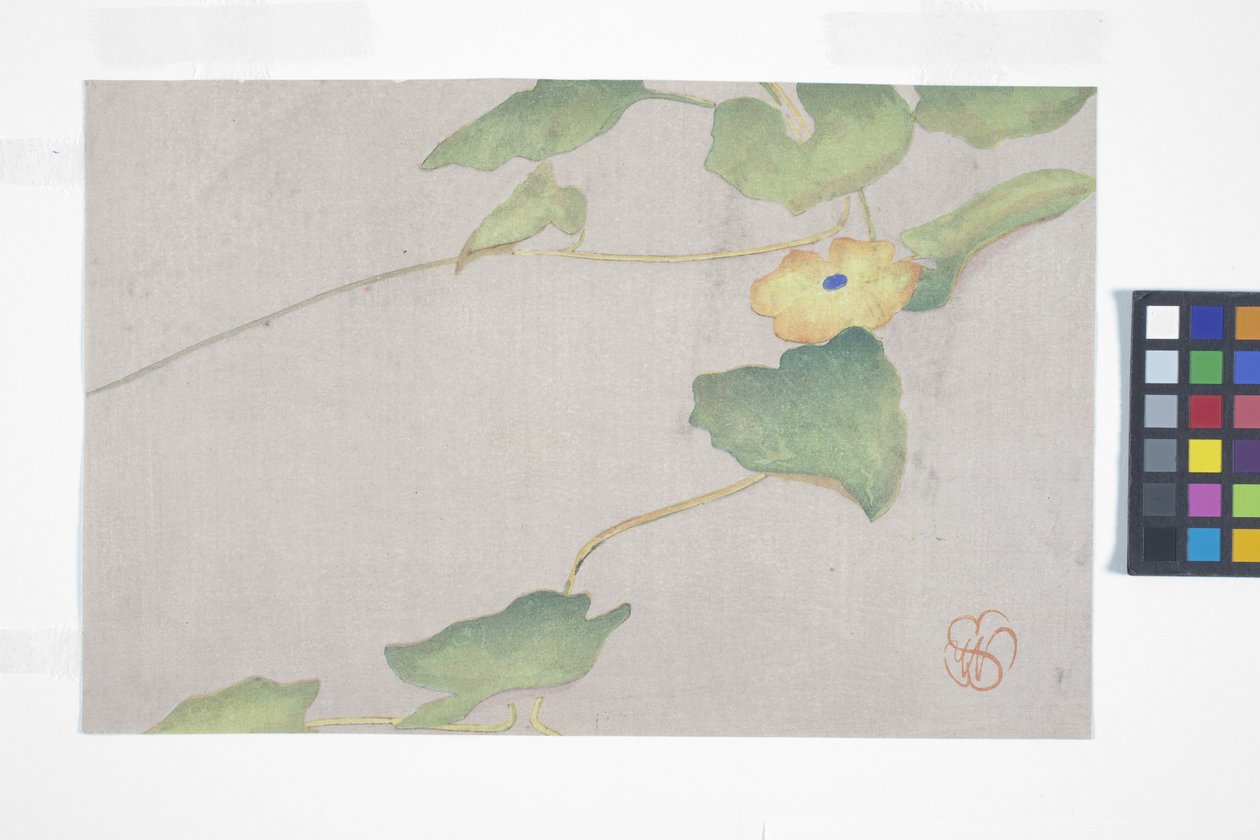 Estudio floral, c.1908 (xilografía en color) de Wilhelmina Seegmiller