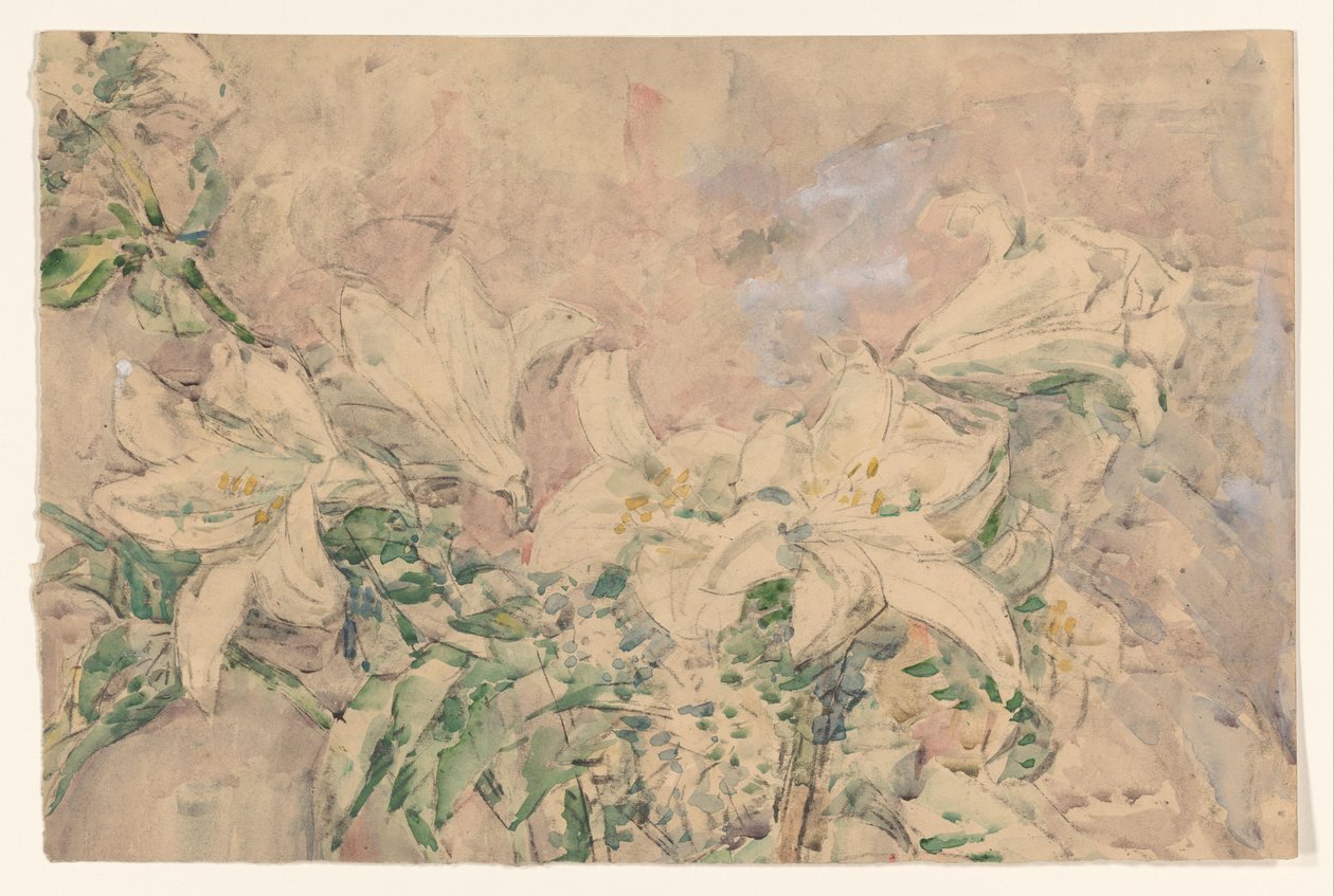 Lelies de Wilhelmus Johannes Steenhoff