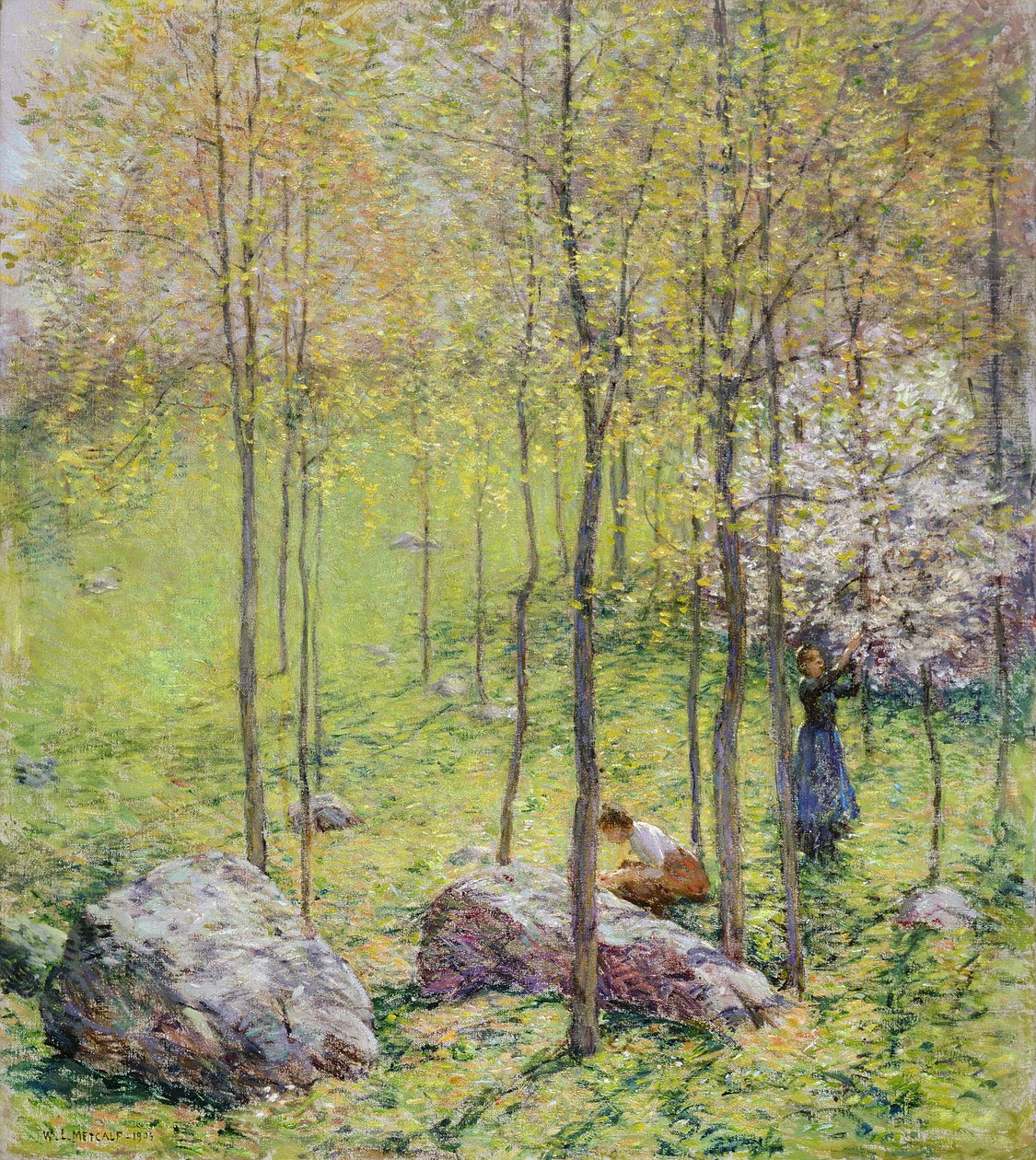 Flores de cornejo, 1906 de Willard Leroy Metcalf