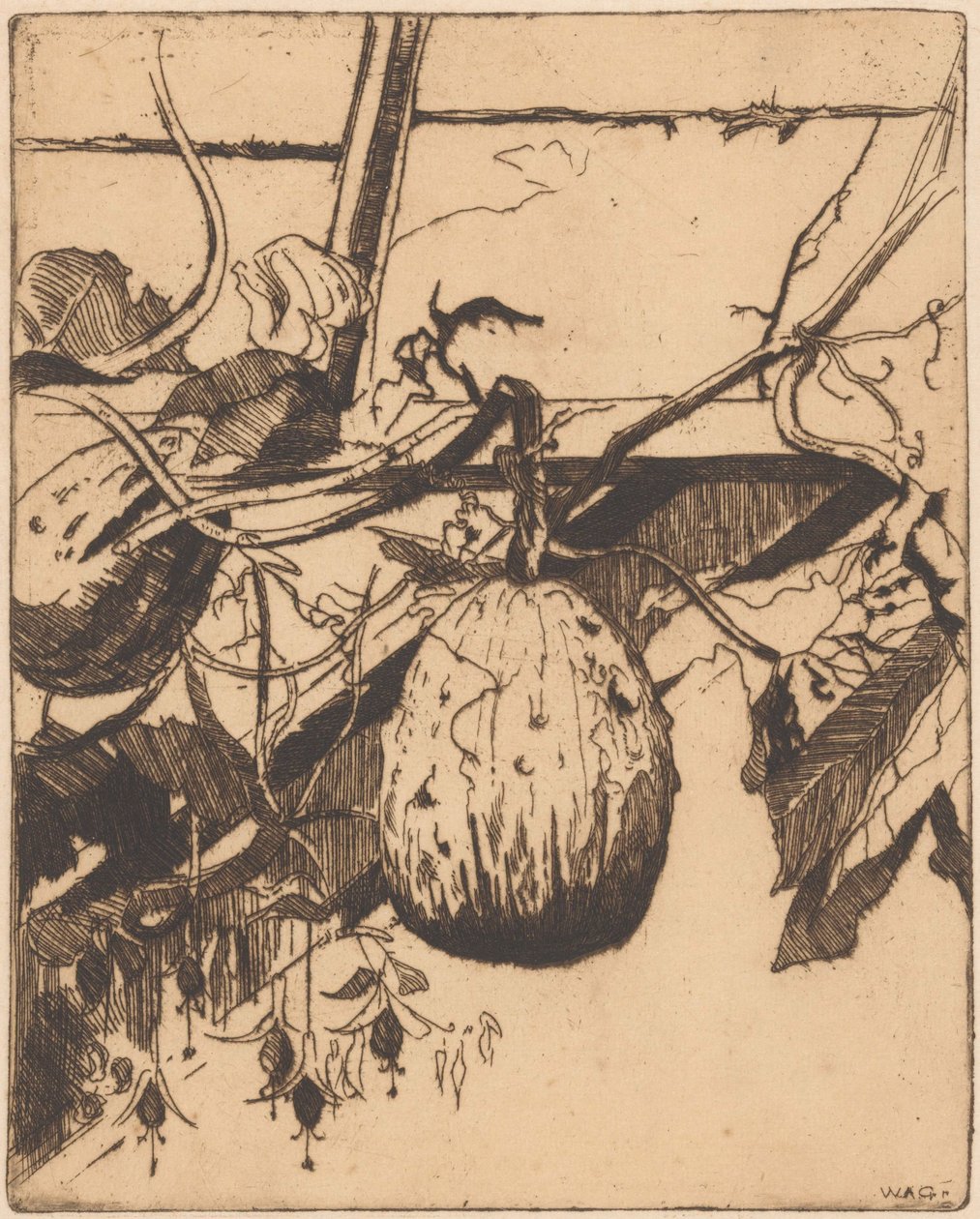 Calabazas y fucsias de Willem Adrianus Grondhout